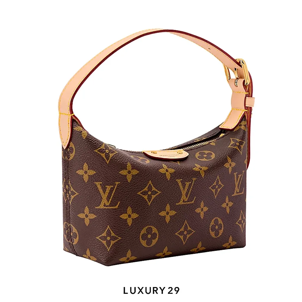 Louis Vuitton LV Classic Pochette Hills Monogram Canvas(Small, Brown)