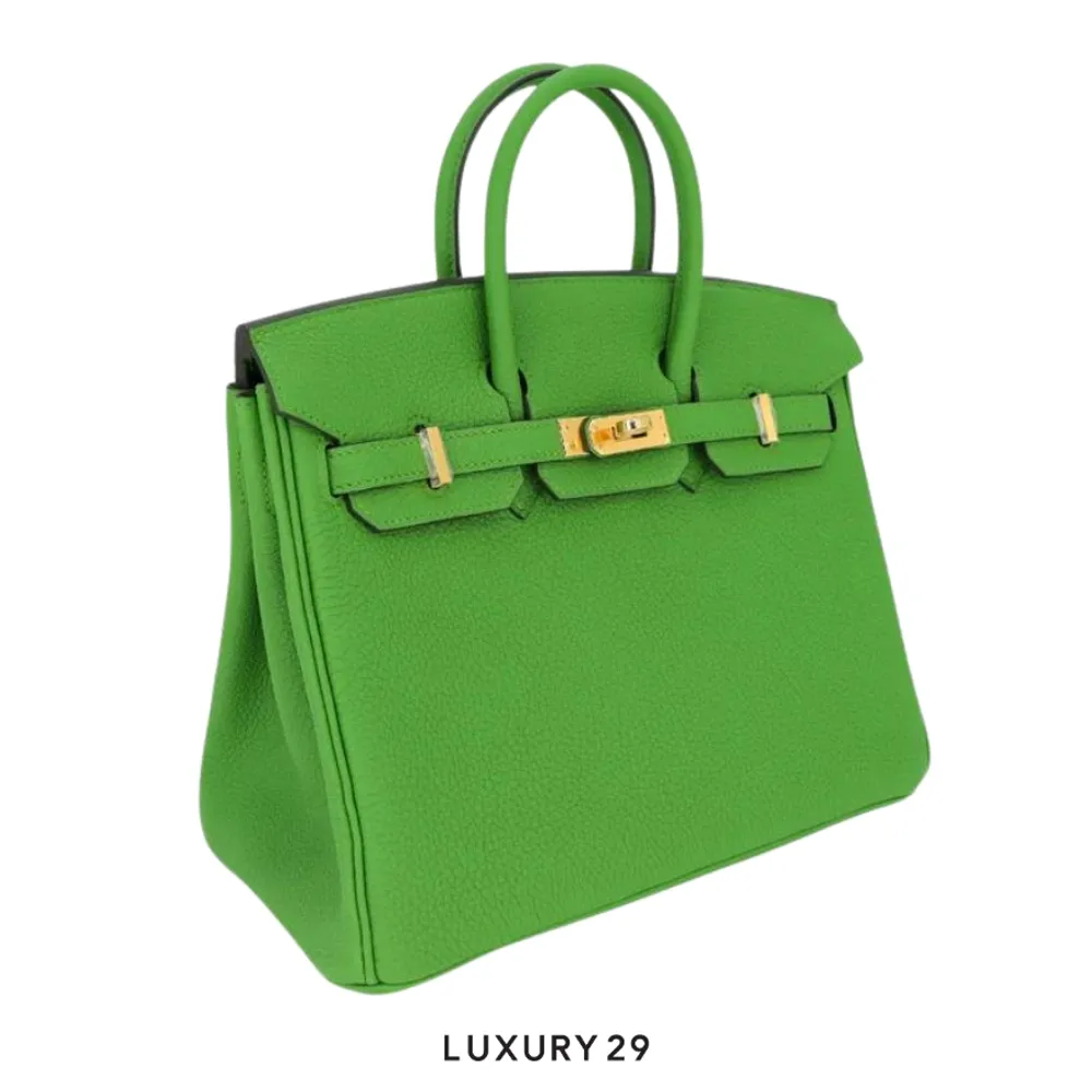 Hermes SAC Birkin 25 Veau Togo AB Vert Yucca / B Stamp (2023)(Small, Green)