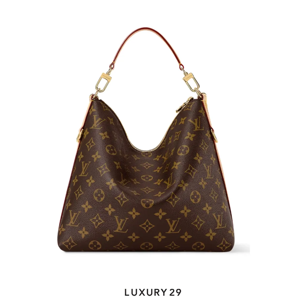 Louis Vuitton LV Multipass bag Brown(Small, Brown)