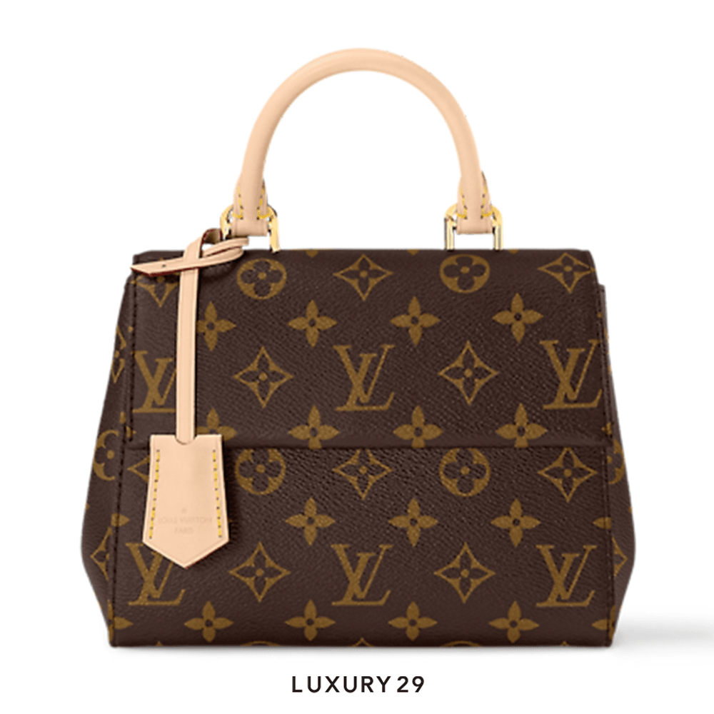 Louis Vuitton LV Cluny Mini(Mini, Brown)