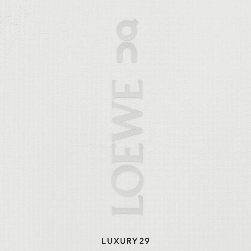 On x Loewe Ultra jacket in technical shell White(M, White)
