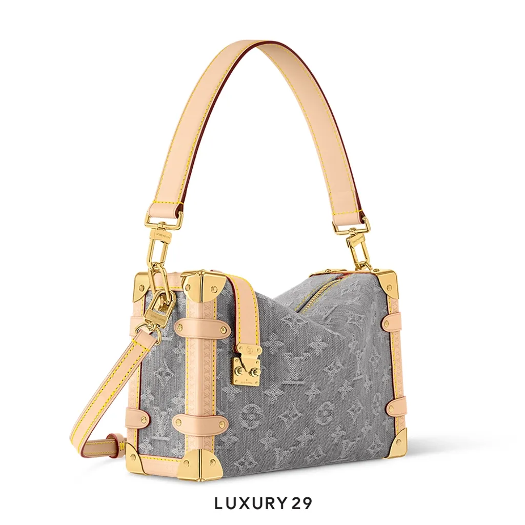 Louis Vuitton LV   Side Trunk MM Grey(Small, Grey)