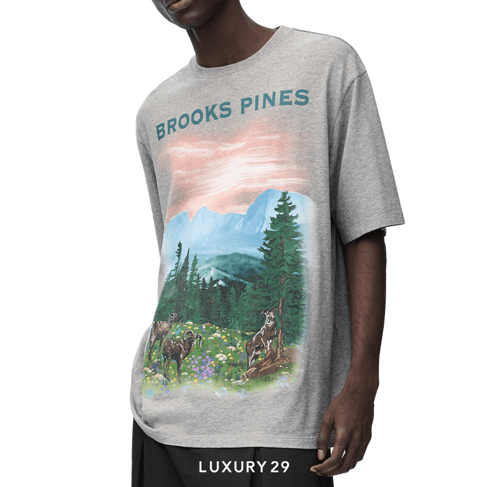 Loewe Loose fit T-shirt in cotton Grey Melange(XS, Grey)