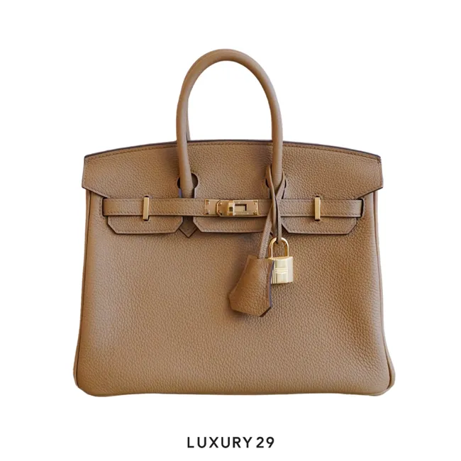 Hermes Birkin 25 Chai toffee Togo Gold Hardware / B Stamp  (2023)