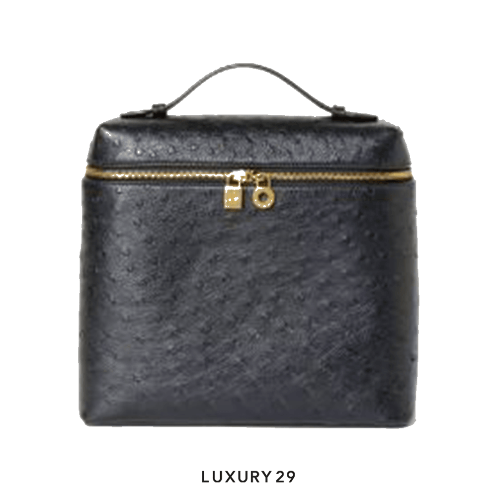 Loro Piana Extra Pocket Backpack in Ostrich Leather(Medium, Black)