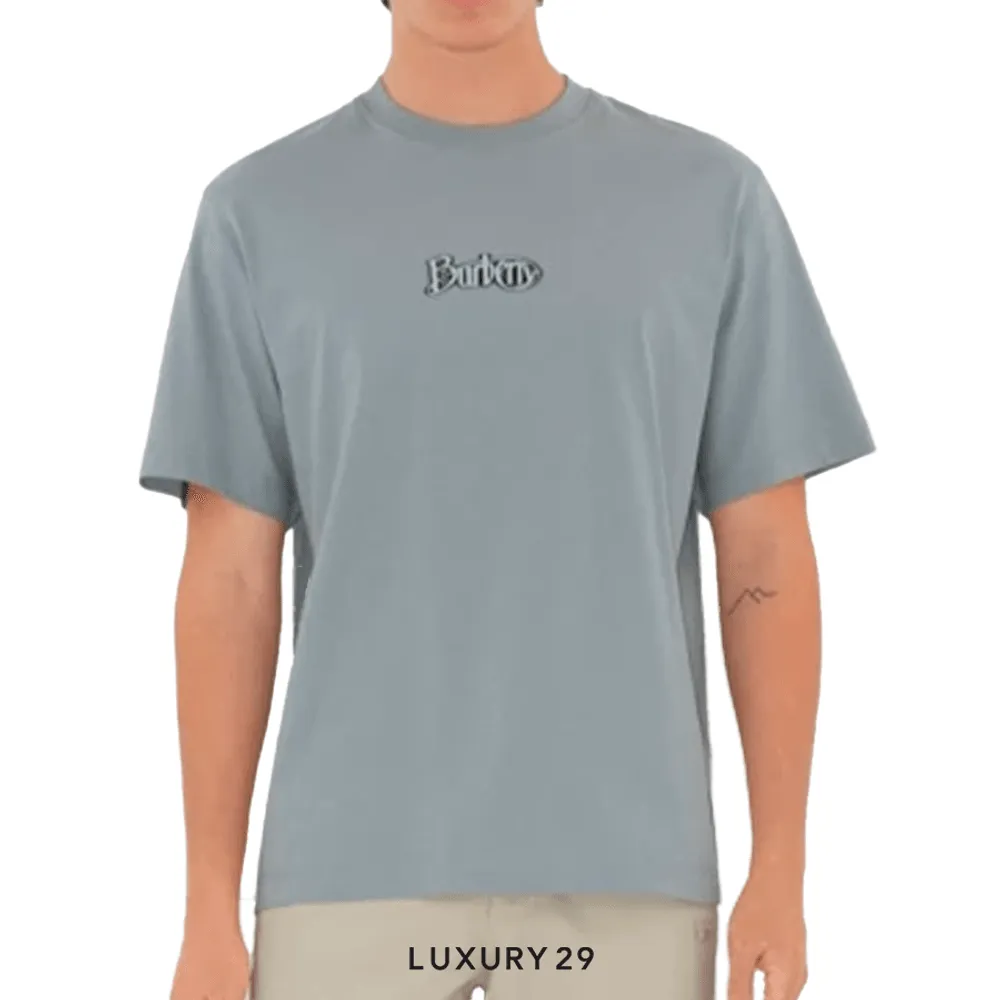 Burberry Logo Cotton T-shirt New in Gale(M, Grey)
