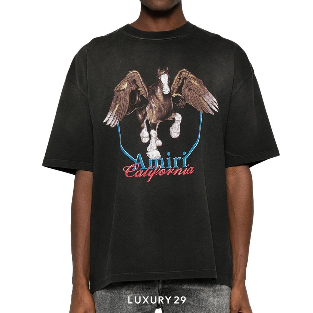 Amiri Pegasus T-shirt Black(M, Black)
