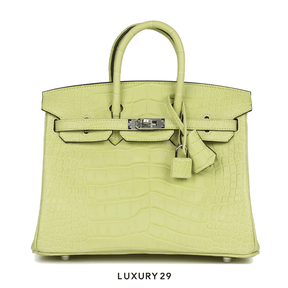 Hermes Sac Birkin 25 Alligator Mississippiensis Mat B Stamp (2023)(Small, Green)