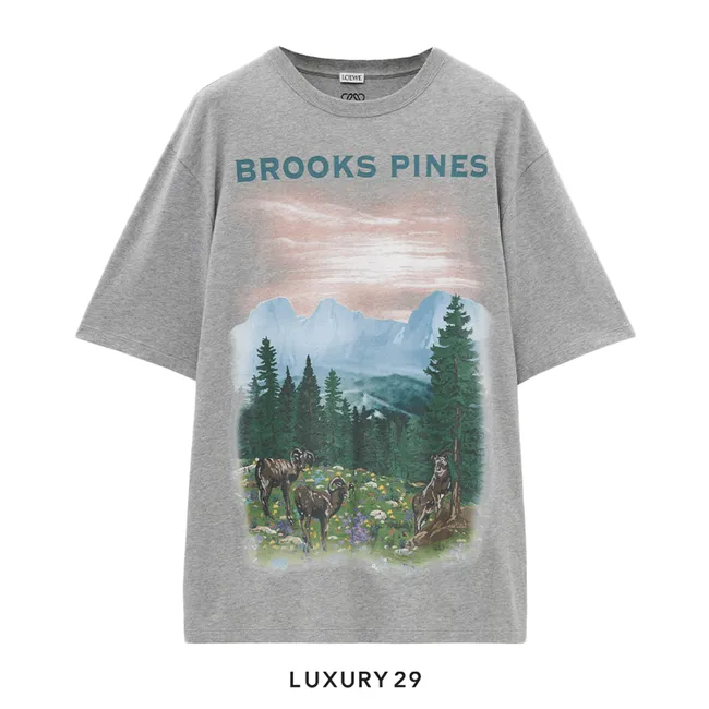 Loewe Loose fit T-shirt in cotton Grey Melange