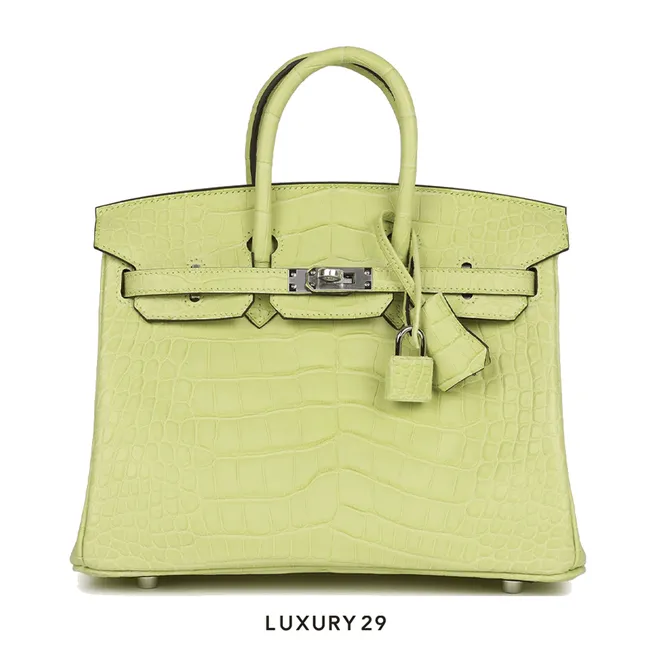 Hermes Sac Birkin 25 Alligator Mississippiensis Mat B Stamp  (2023)