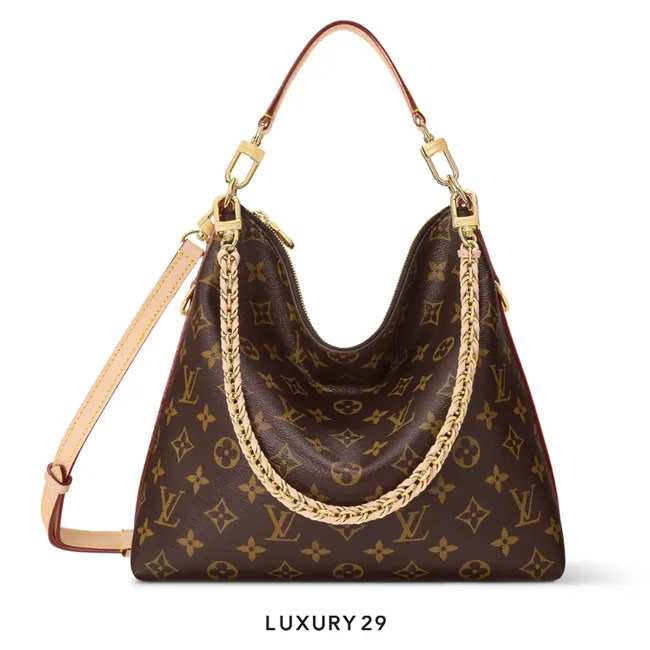 Louis Vuitton LV Multipass bag Brown