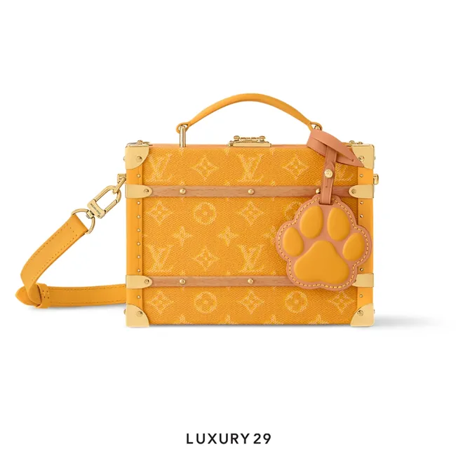 Louis Vuitton LV Handle Trunk Yellow