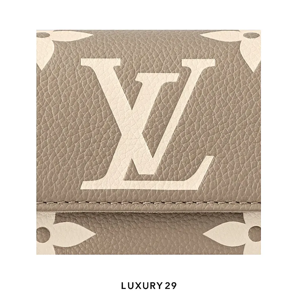 Louis Vuitton LV Wallet On Chain Ivy Bag(Small, Neutrals)