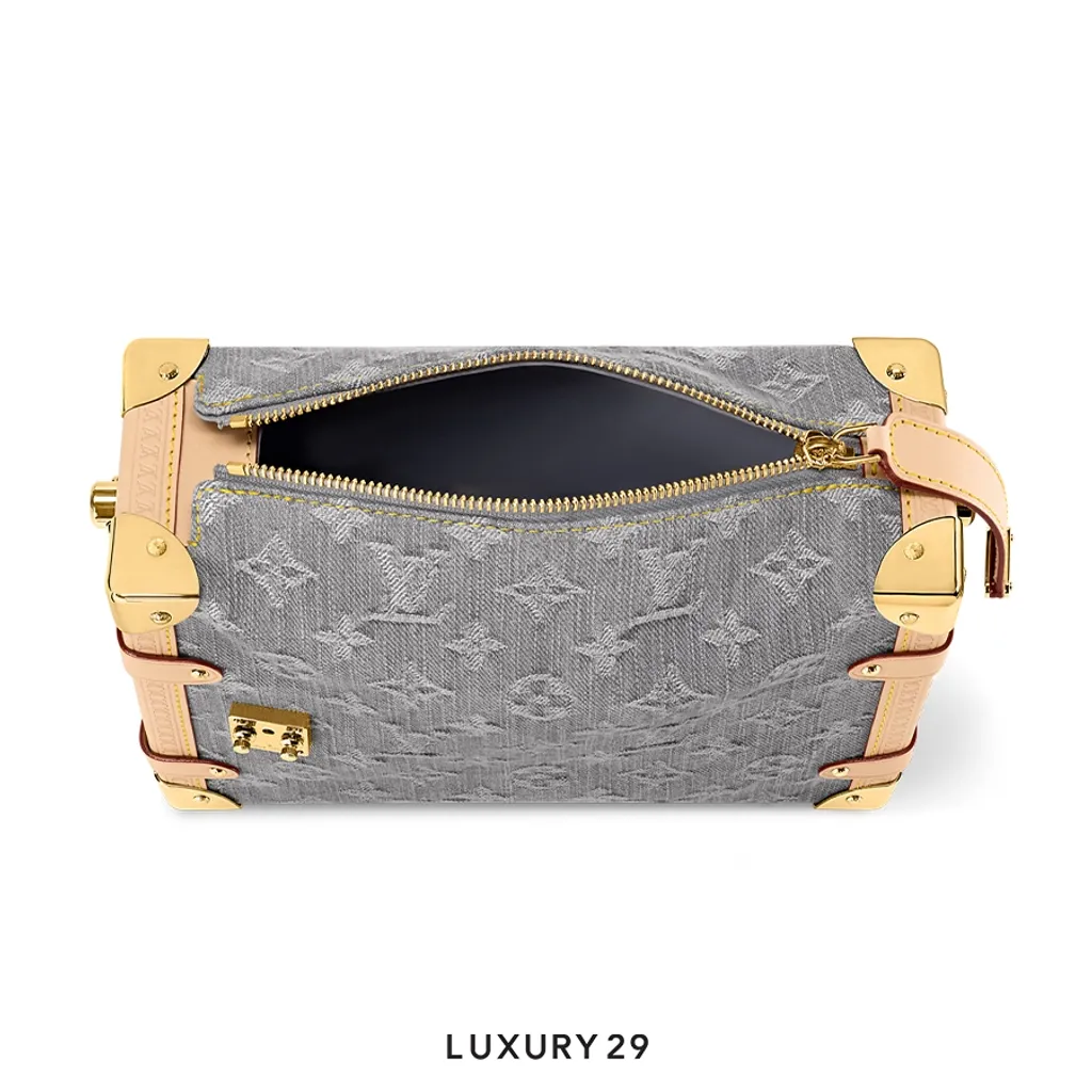 Louis Vuitton LV   Side Trunk MM Grey(Small, Grey)