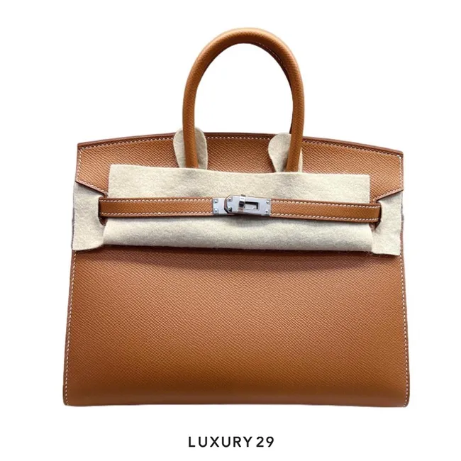 Hermes Birkin 25 Gold Epsom Palladium Hardware / B Stamp  (2023)