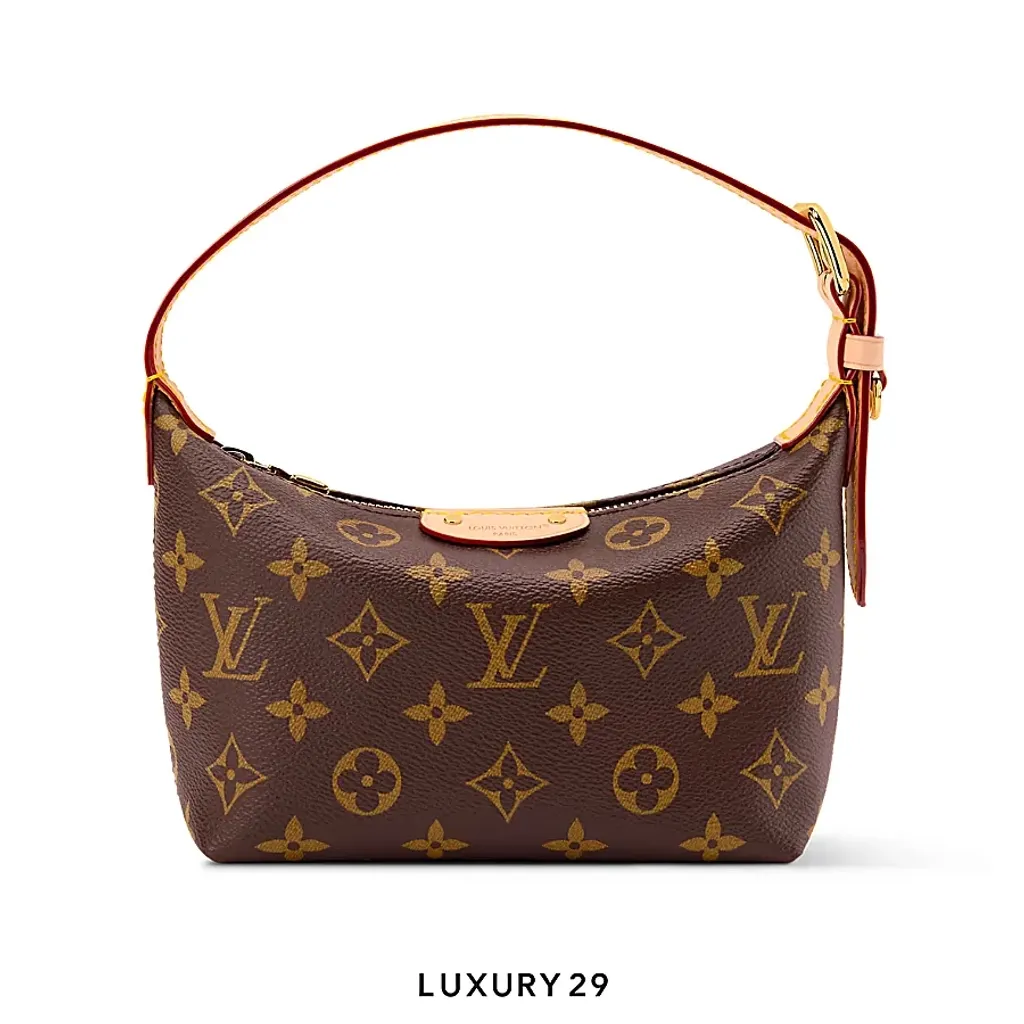 Louis Vuitton LV Classic Pochette Hills Monogram Canvas(Small, Brown)