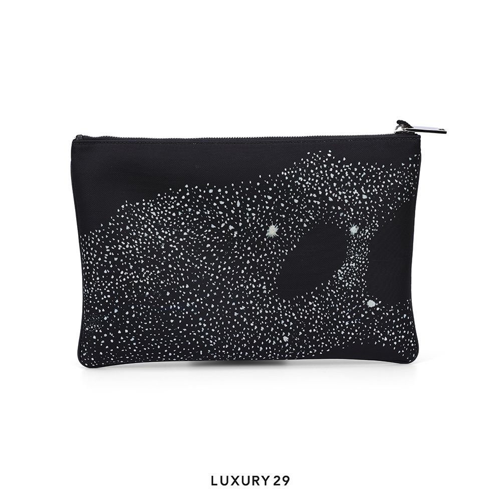 Dior X Peter Doig Black Nylon Pouch(Small, Black)