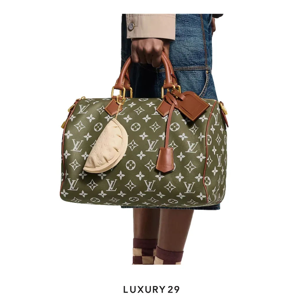 LOUIS VUITTON LV Gyoza key case(Small, Neutrals)