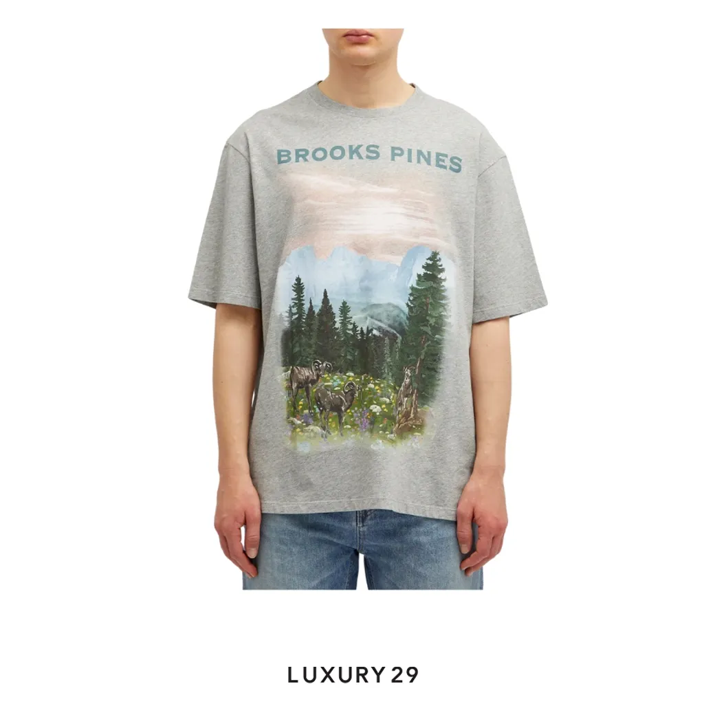Loewe Brooks Pines T-Shirt(XL, Grey)