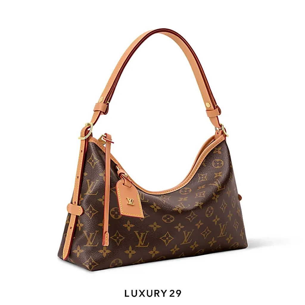 Louis Vuitton LV CarryAll East West  Monogram Canvas(Medium, Brown)