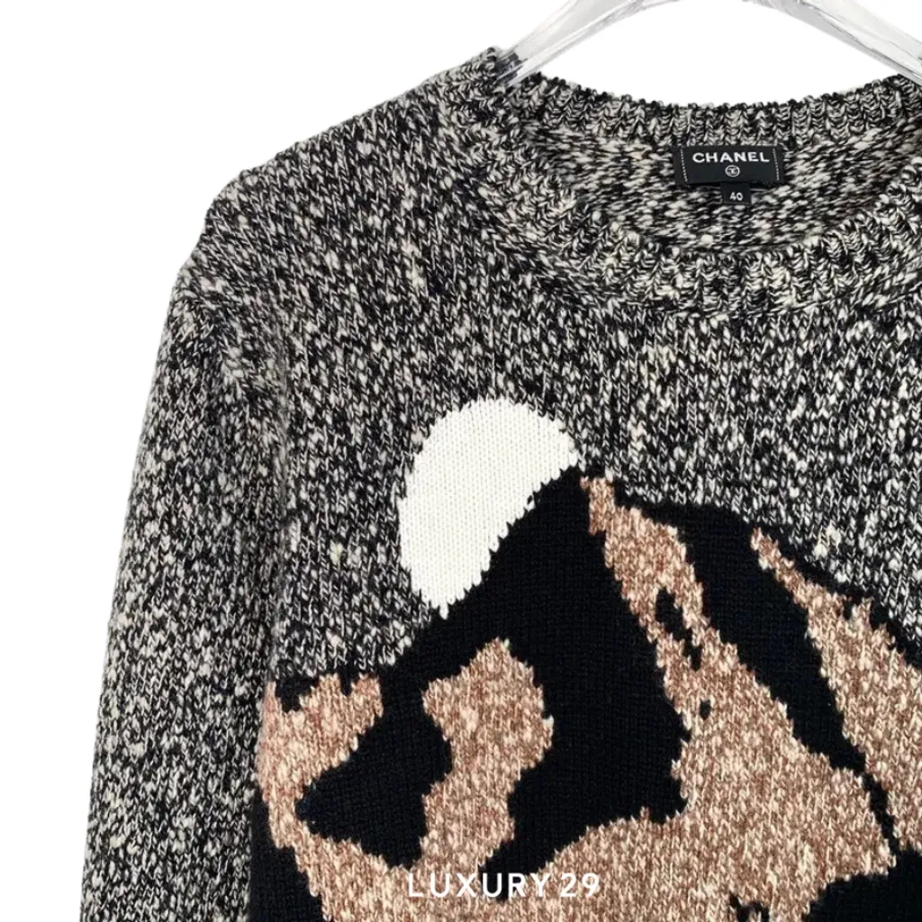 Chanel Snow Series Color-Blocked Sweater-dmc(36, Black)