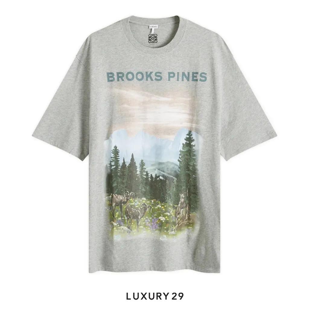 Loewe Brooks Pines T-Shirt(XL, Grey)