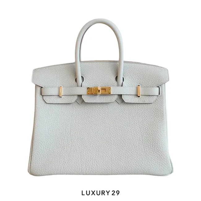 Hermes Birkin 25 Gris Pale Togo Gold Hardware / B Stamp  (2023)