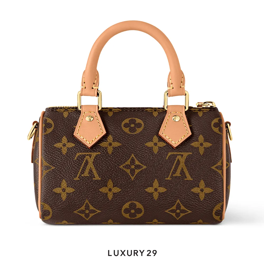 Louis Vuitton LV Nano Speedy Bag(Mini, Brown)