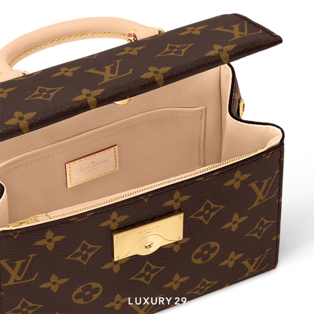Louis Vuitton LV Cluny Mini(Mini, Brown)