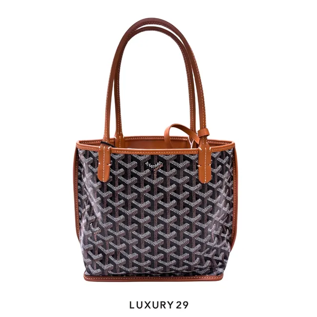 Goyard Anjou Mini Bag Black Tan