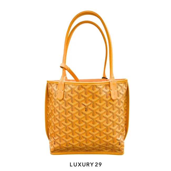 Goyard Anjou Mini Bag Yellow