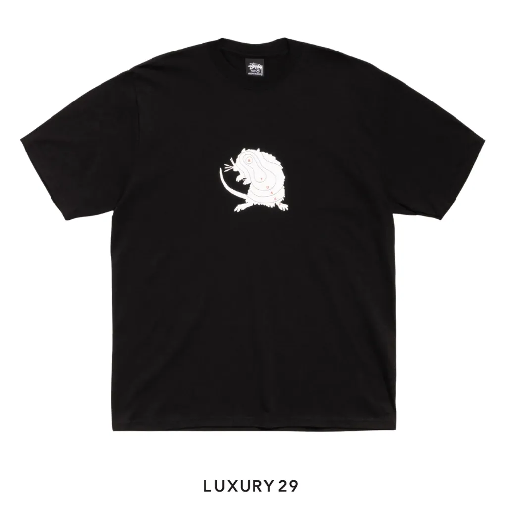 Stussy LONG RANGE TEE BLACK(M, Black)