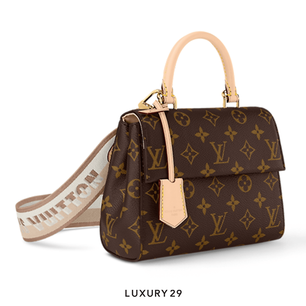 Louis Vuitton LV Cluny Mini(Mini, Brown)