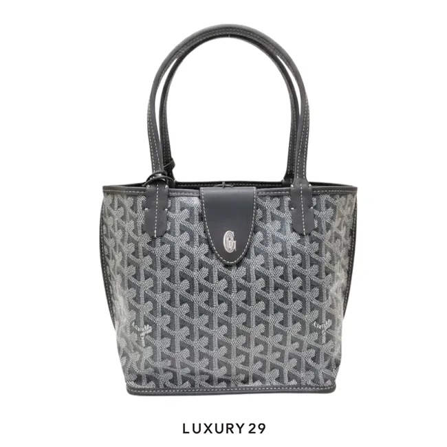 Goyard Anjou Mini Bag with Croc Universal Grey