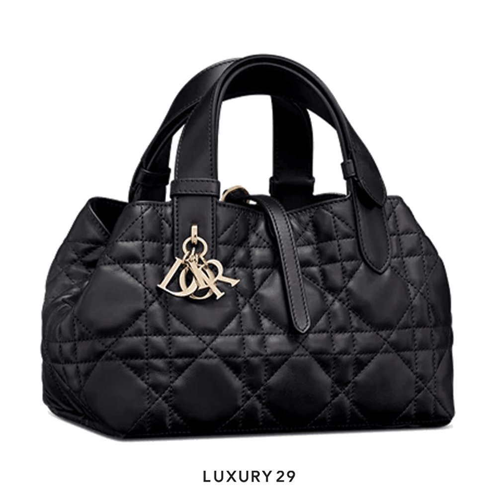 Dior Small Dior Toujours Bag Black(Small, Black)
