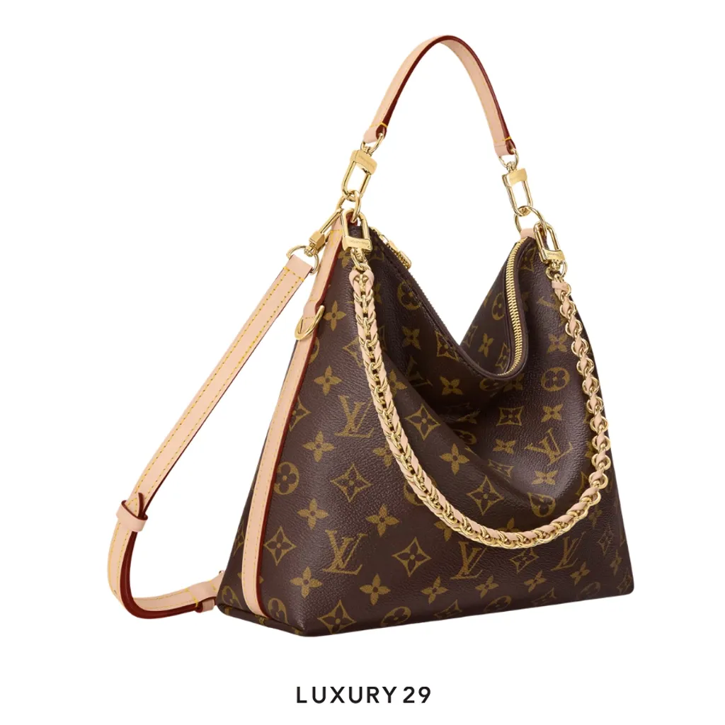 Louis Vuitton LV Multipass bag Brown(Small, Brown)