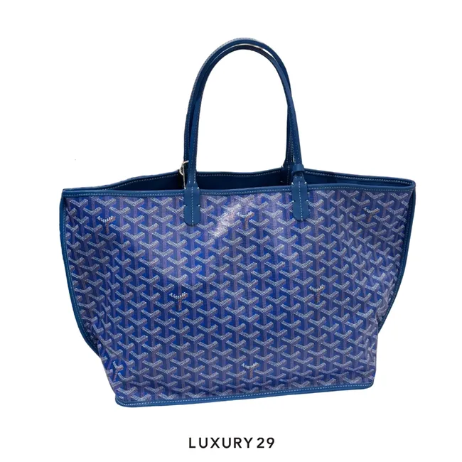 Goyard Anjou PM Bag Sky Blue