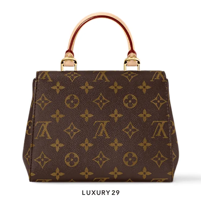 Louis Vuitton LV Cluny Mini