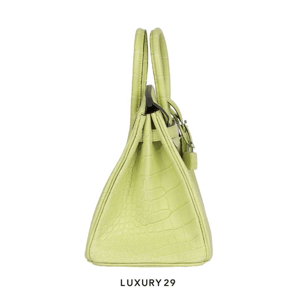 Hermes Sac Birkin 25 Alligator Mississippiensis Mat B Stamp (2023)(Small, Green)
