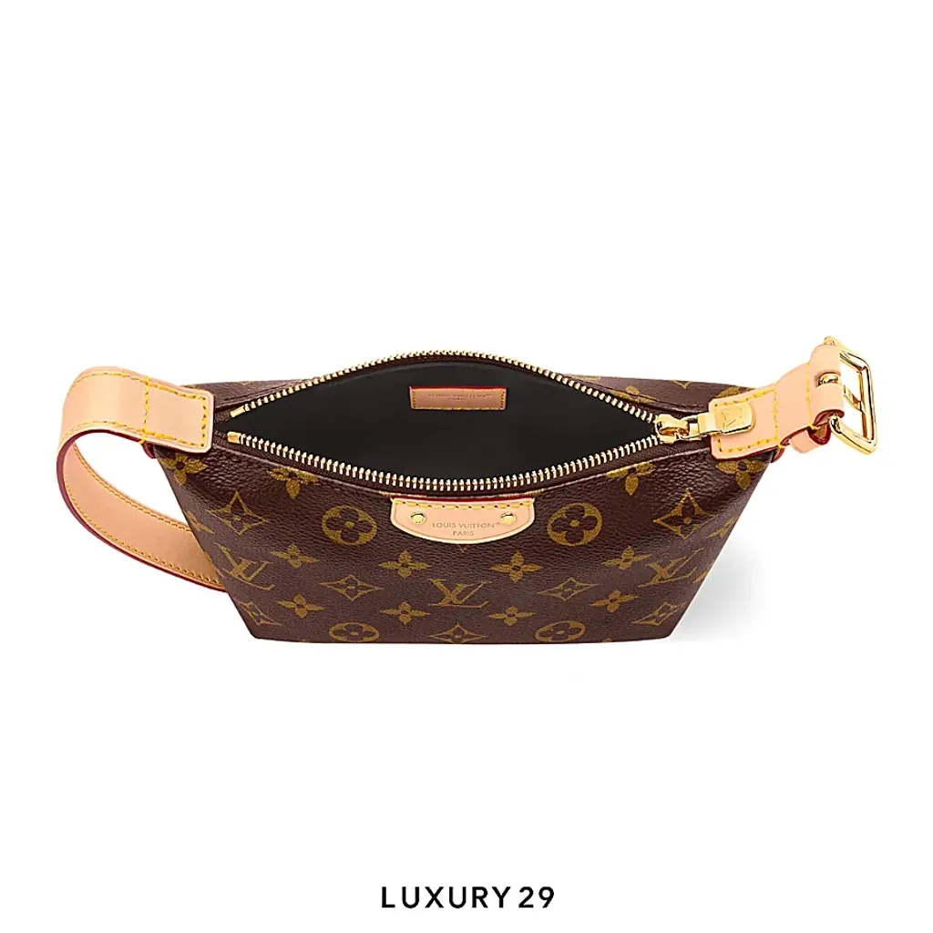 Louis Vuitton LV Classic Pochette Hills Monogram Canvas(Small, Brown)