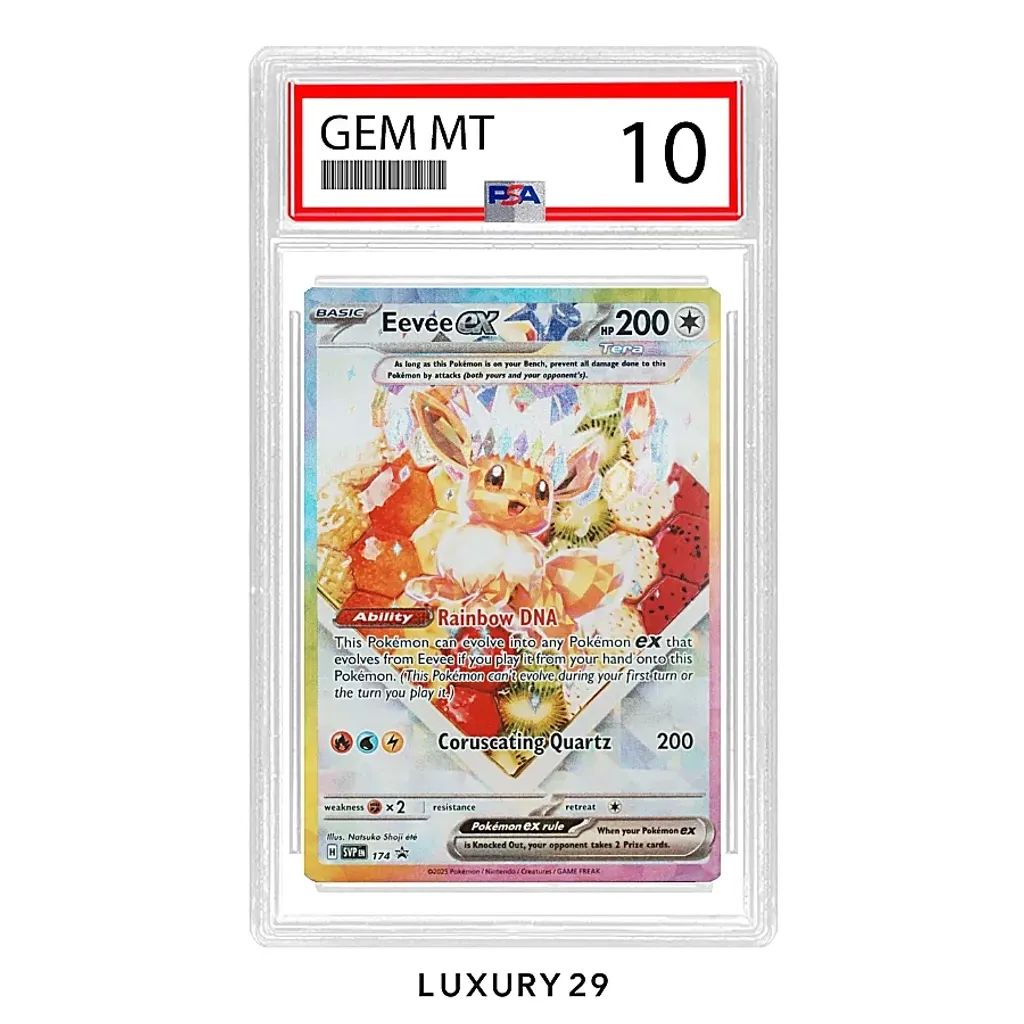 Pokemon TGC 2025 Eevee ex Pre Super Premium Collection #174 (EN)(PSA10)(Small, Multicolour)
