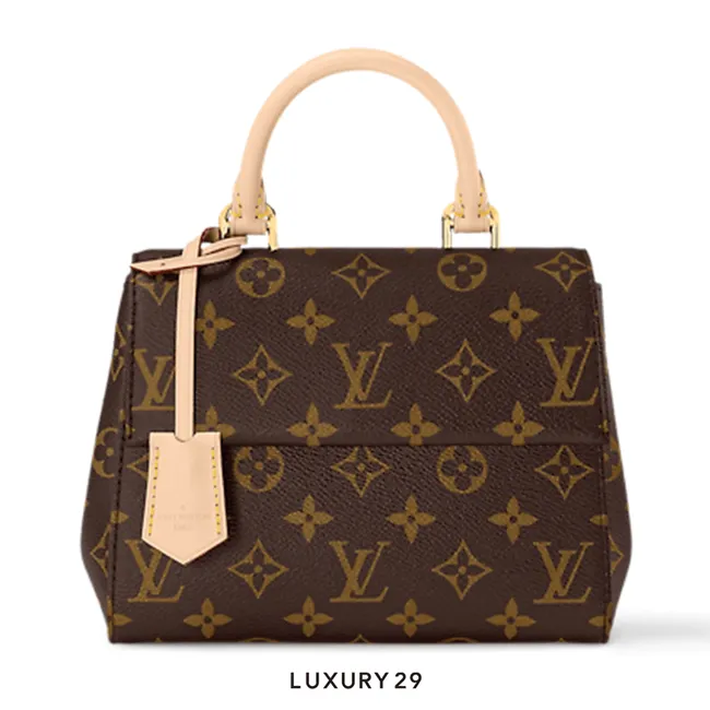 Louis Vuitton LV Cluny Mini