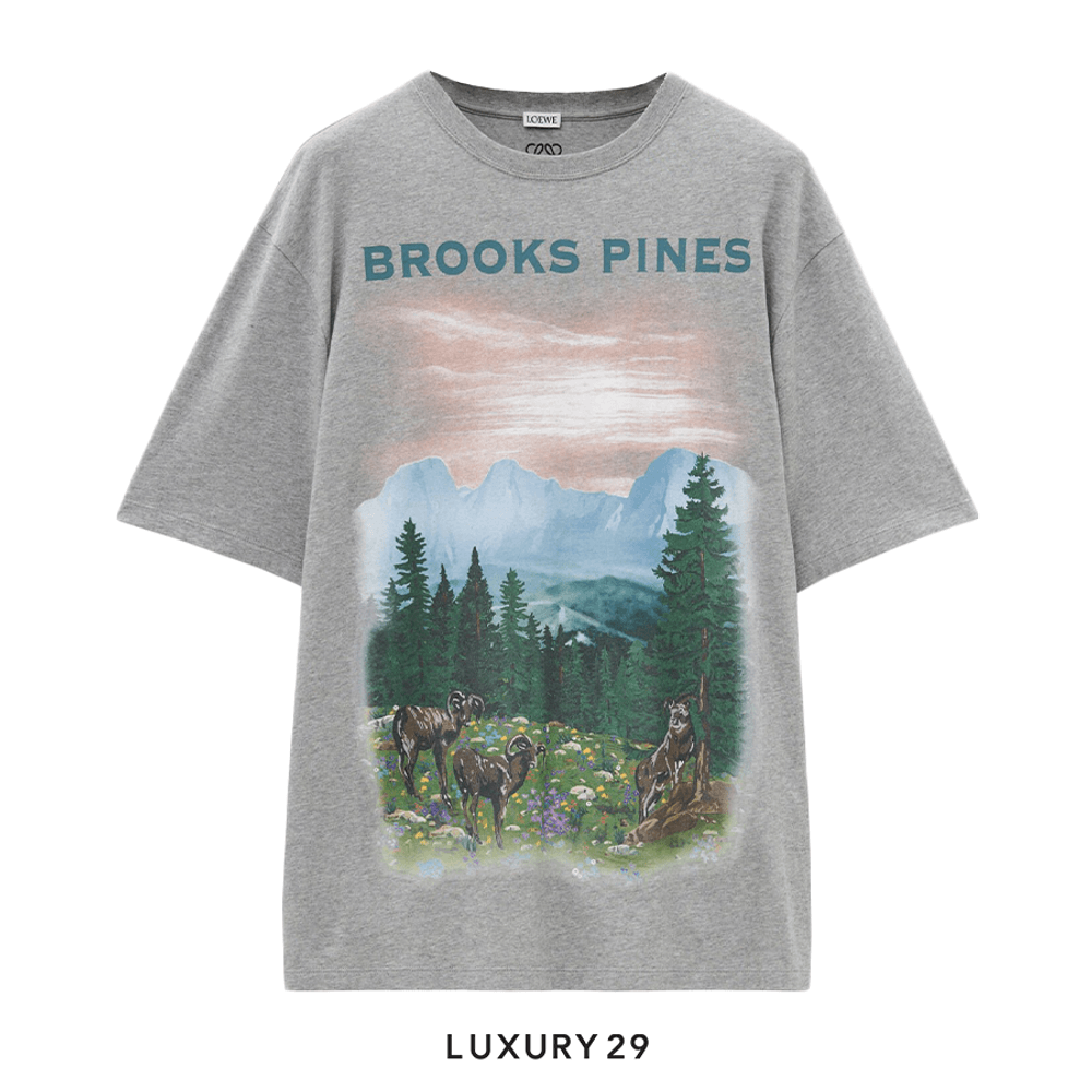 Loewe Loose fit T-shirt in cotton Grey Melange(XS, Grey)