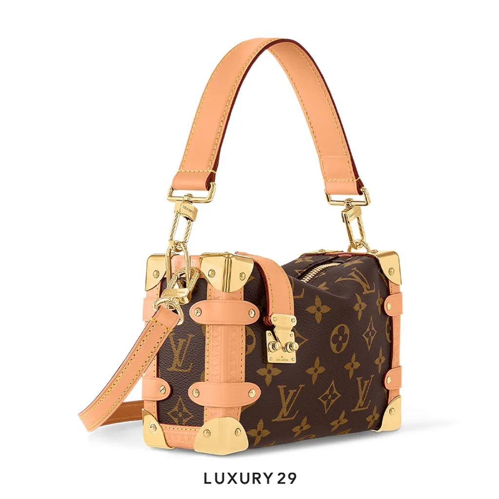 Louis Vuitton LV  Side Trunk PM(Small, Brown)
