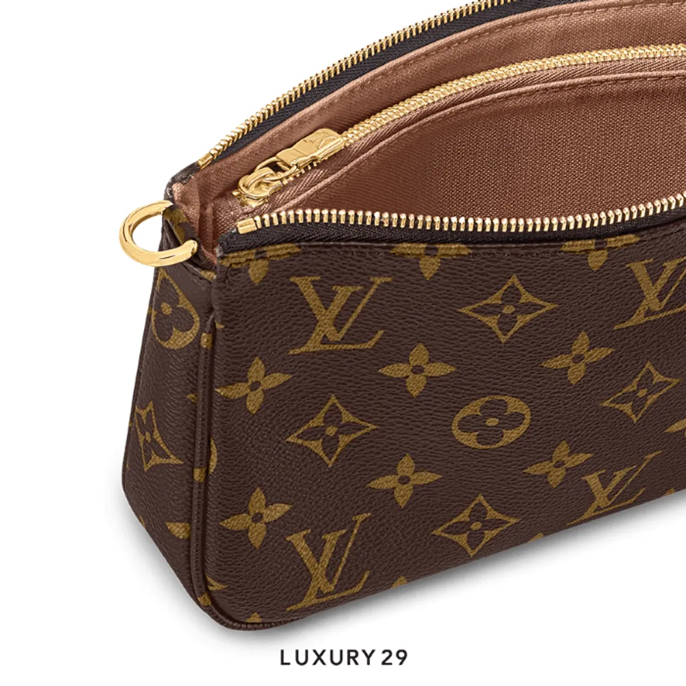 Louis Vuitton LV Pochette Accessories(Small, Brown)