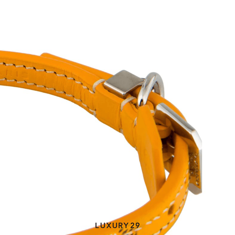 Goyard Edmond Collar Yellow(Free Size, Yellow)