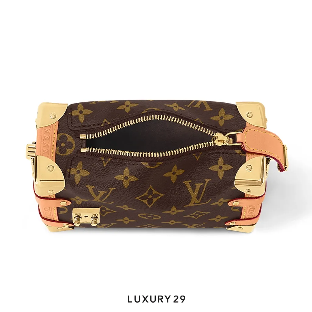 Louis Vuitton LV  Side Trunk PM(Small, Brown)