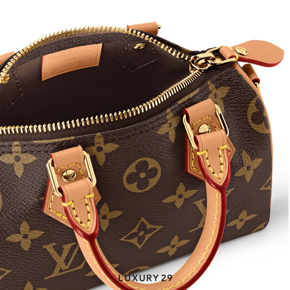 Louis Vuitton LV Nano Speedy Bag(Mini, Brown)