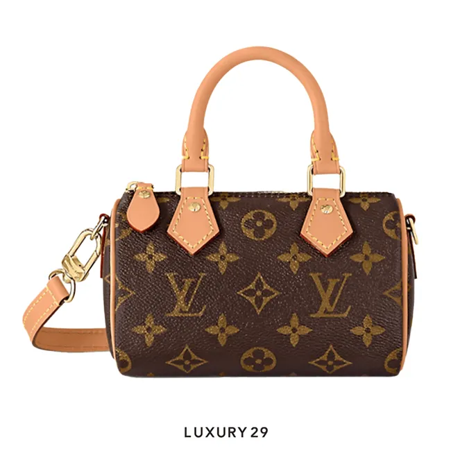 Louis Vuitton LV Nano Speedy Bag
