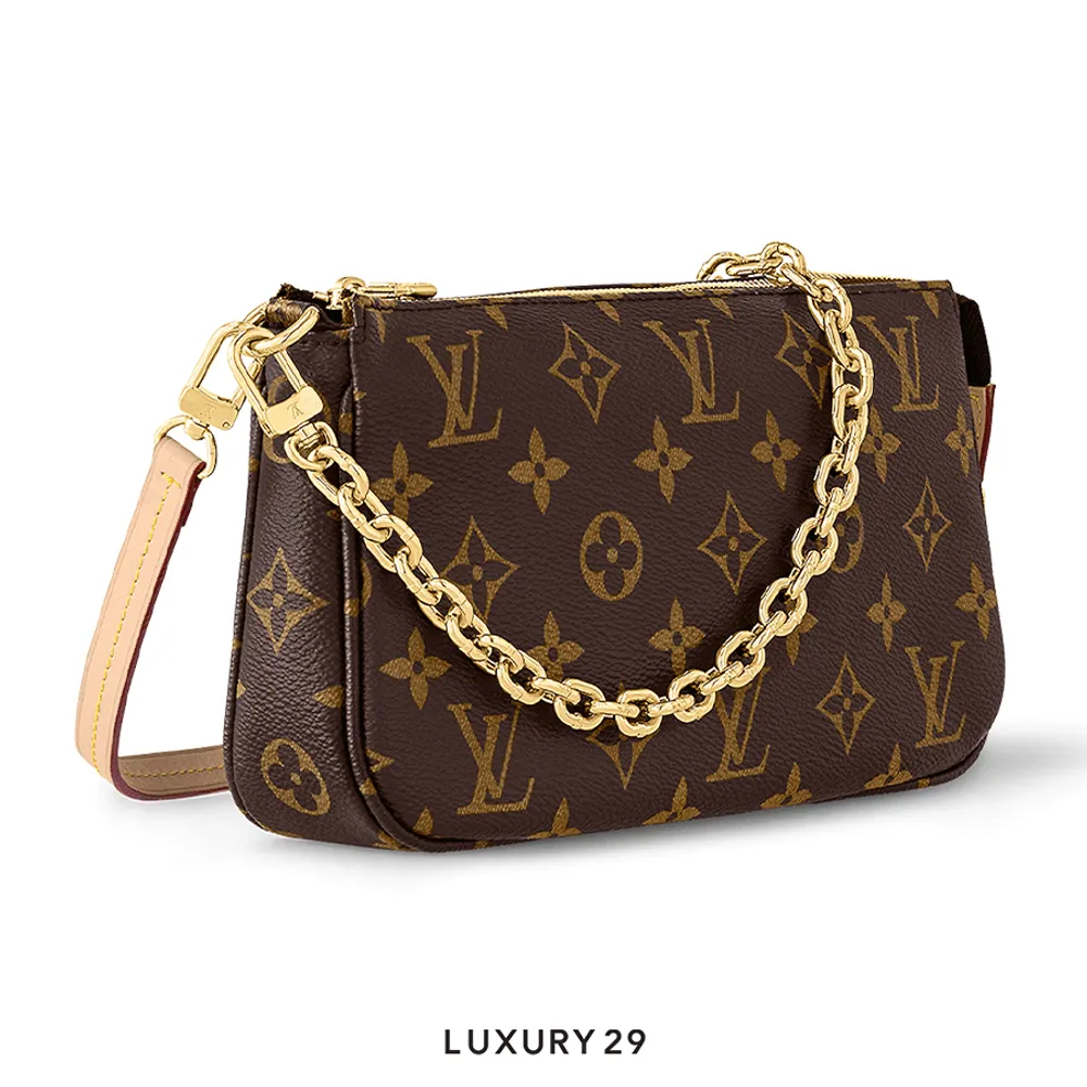 Louis Vuitton LV Pochette Accessories(Small, Brown)
